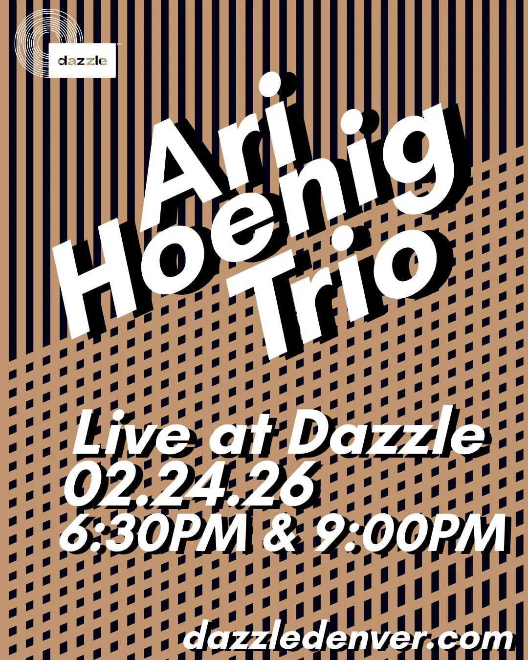 Ari Hoenig Trio