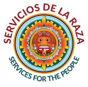 Servicios De La Raza
